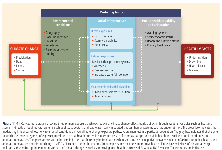 Exposure pathways