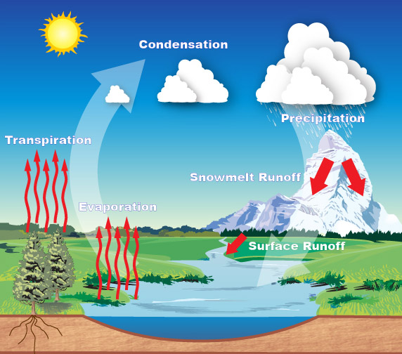 Water cycle